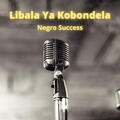 Negro Succes