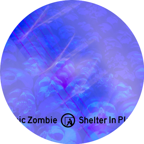 Sonic Zombie