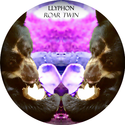 Llyphon