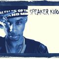 Speaker Knockerz