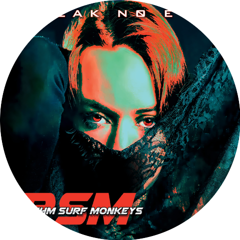 The Rhythm Surf Monkeys