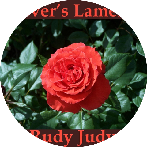 Rudy Judy