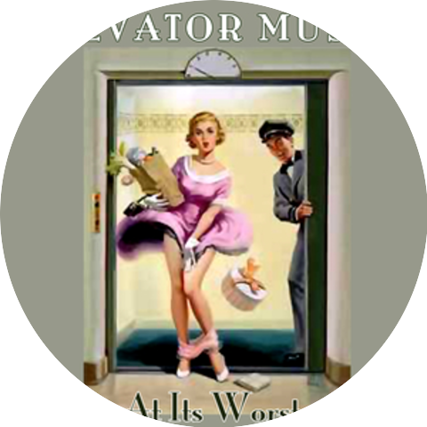 The Elevator Troubadours