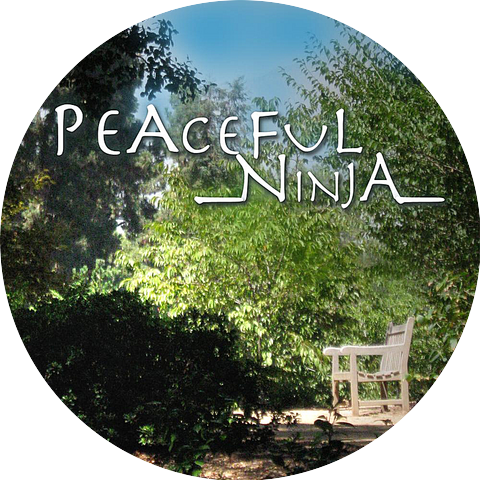Peaceful Ninja