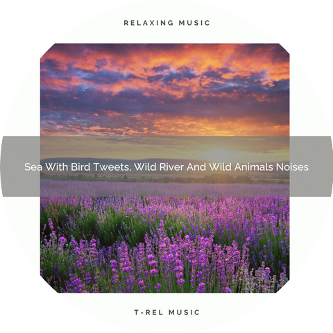 Nature Music: Nature Sounds