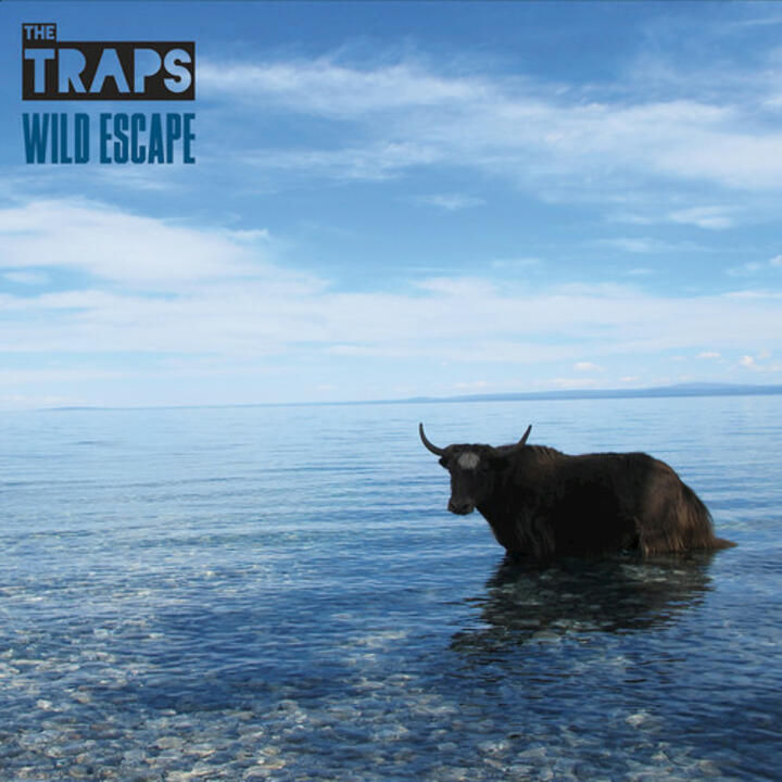 The Traps