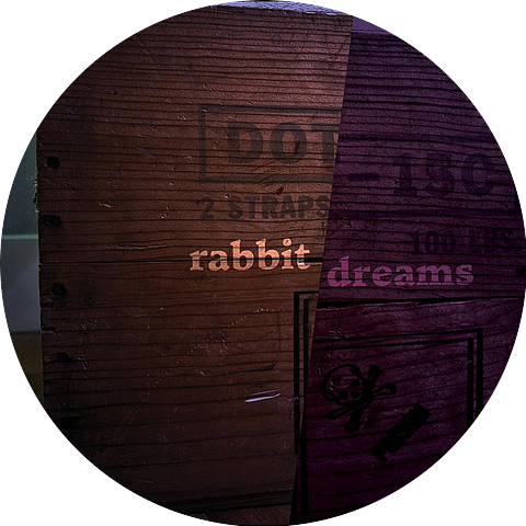 Rabbit Dreams