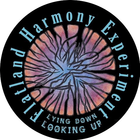 Flatland Harmony Experiment
