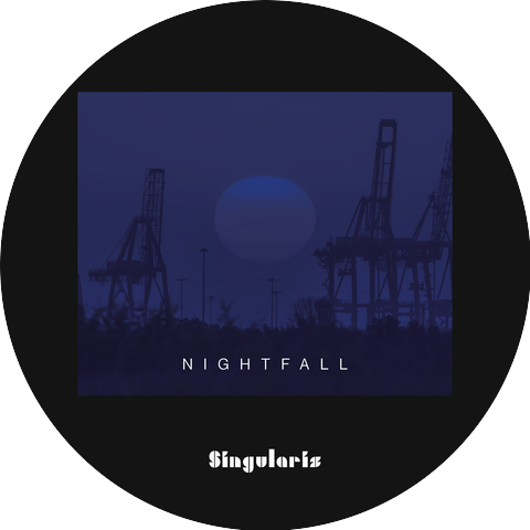 Singularis