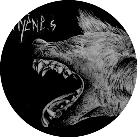 The Hyènes