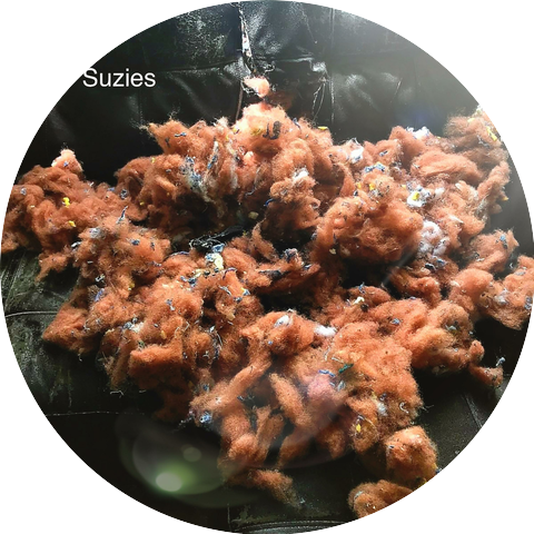 The Suzies