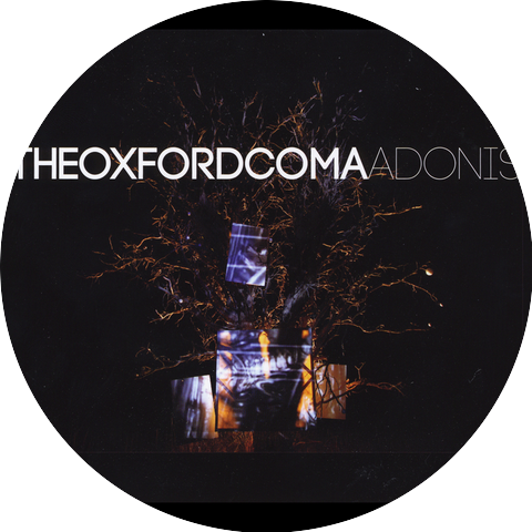 The Oxford Coma