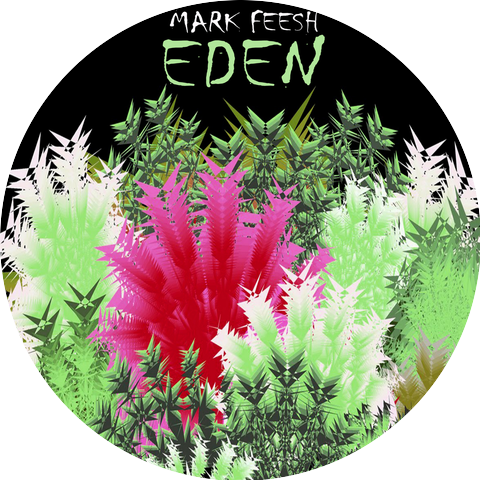 Mark Feesh