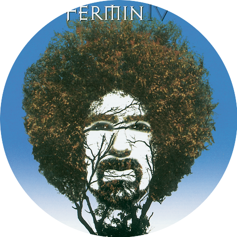 Fermín IV