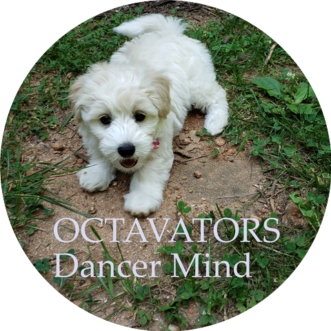 The Octavators