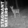 Stagnant Waters