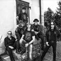 Krokus