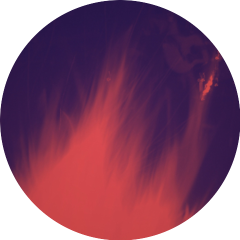 Dramamama