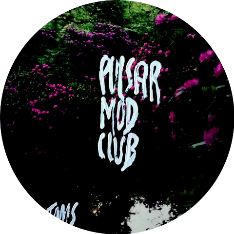 Pulsar Mod Club