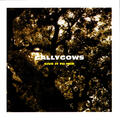 Gallygows