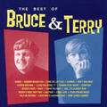 Bruce Terry
