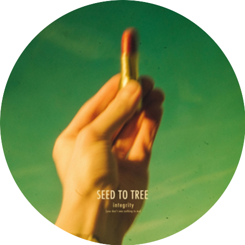 Seed to Tree