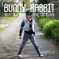 Bunny Rabbit