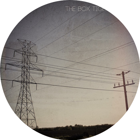 The Box Tiger