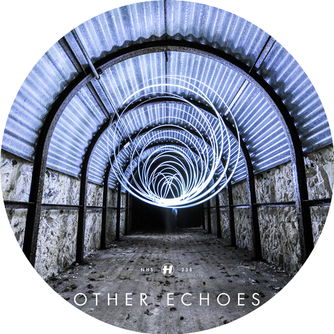 Other Echoes