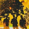 The Shadowboxers