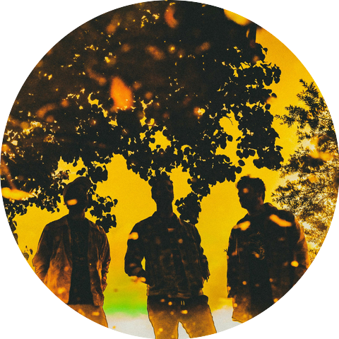 The Shadowboxers