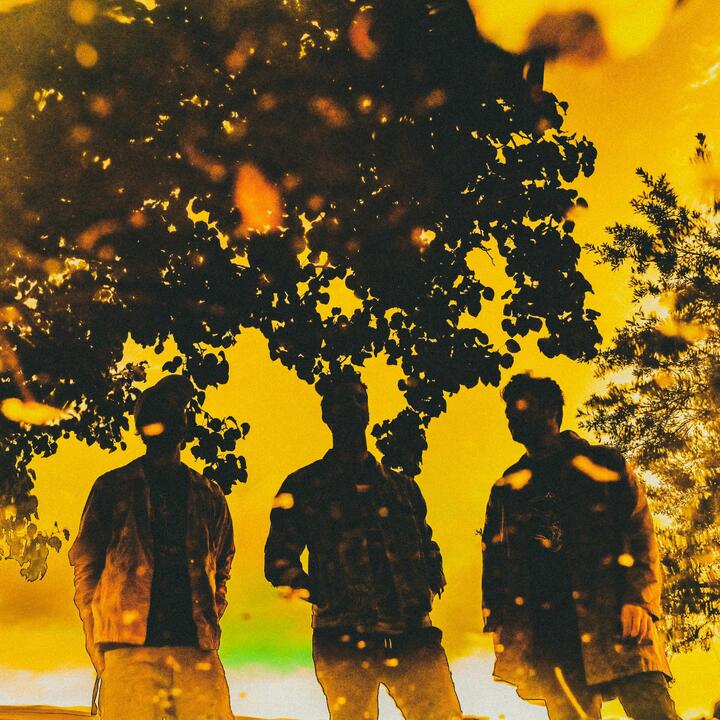 The Shadowboxers