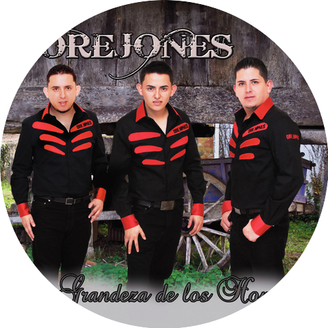 Orejones