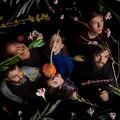 Dirty Projectors