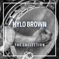 Hylo Brown