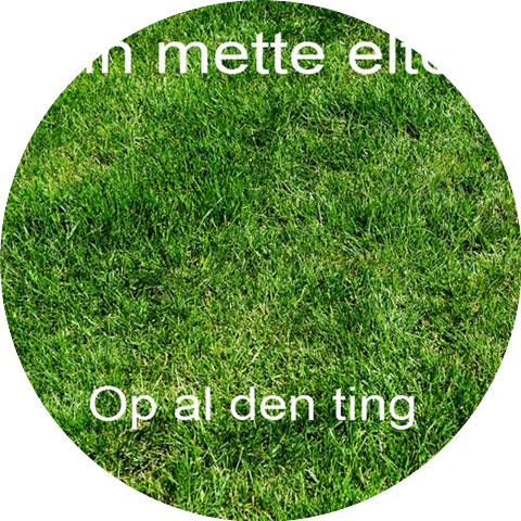 Ann-Mette Elten
