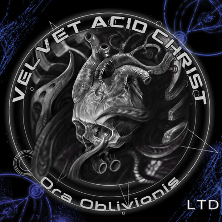 Velvet Acid Christ