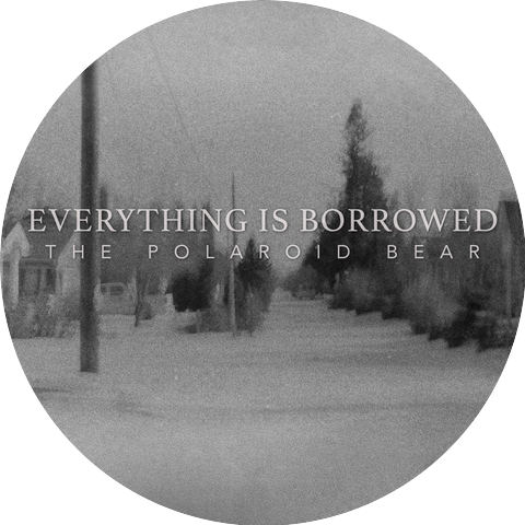 The Polaroid Bear