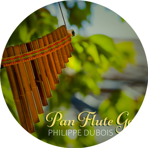 Philippe Dubois