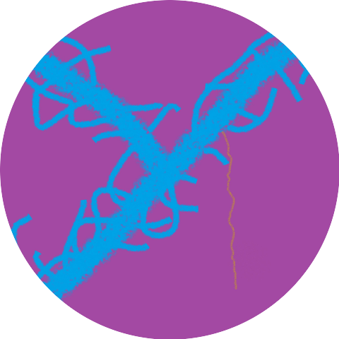 Zozo
