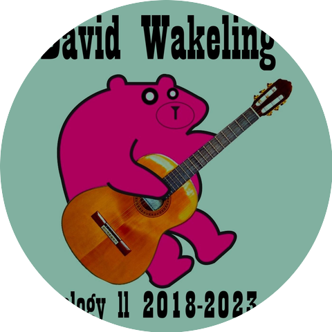 David Wakeling