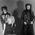 Skinny Puppy