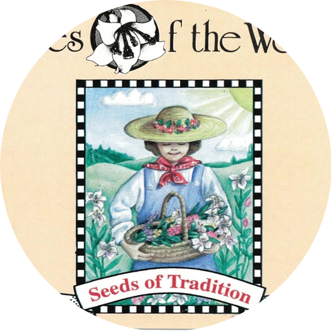 Lilies of the West