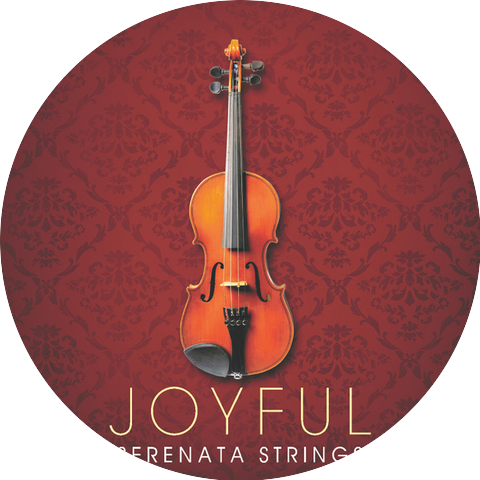 Serenata Strings