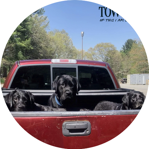 The Townies
