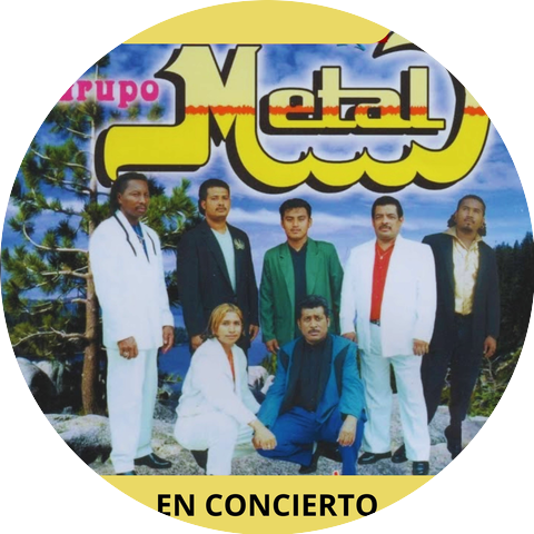 Grupo Metal