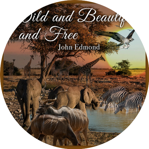 John Edmond