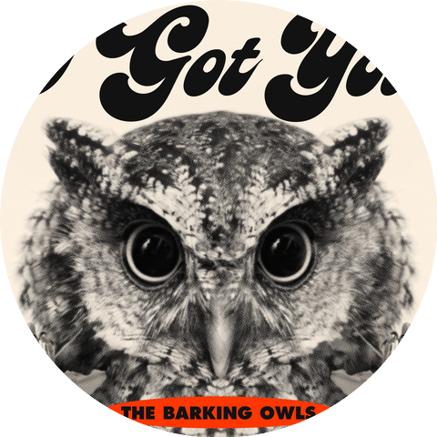 The Barking Owls