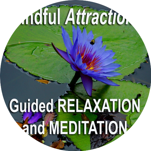 Mindful Attractions