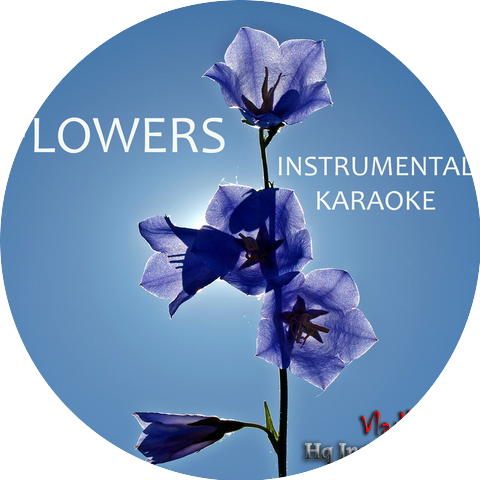 Vlad's Hq Instrumentals